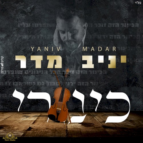 כינורי