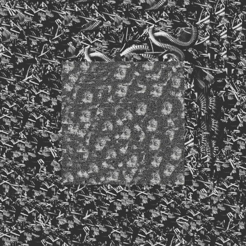 primary data resources for human enhancement through the pleasures of self-mutating flesh and steel hybridation process