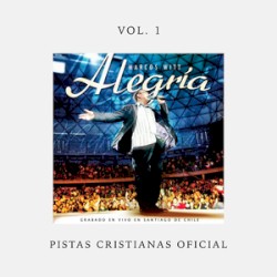 Alegría (pistas oficiales)