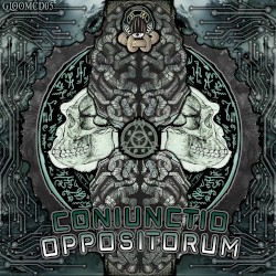 Coniunctio Oppositorum