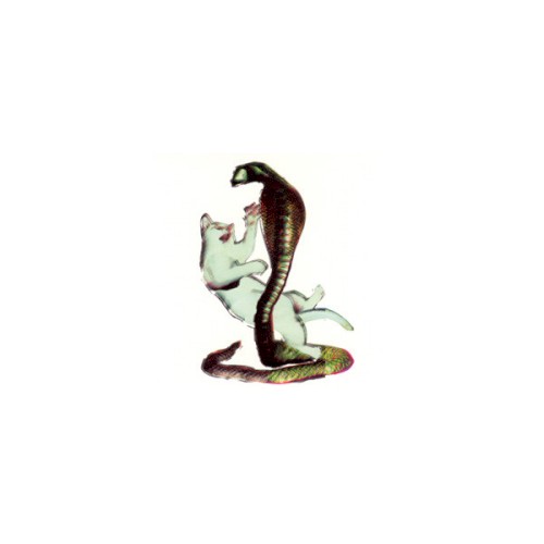The Cat and the Cobra
