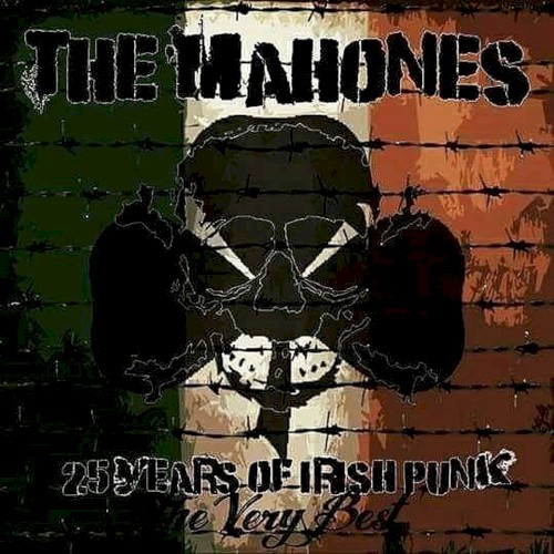 25 Years of Irish Punk (The Very Best)