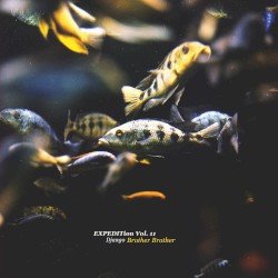 EXPEDITion, Vol. 11: Brother Brother