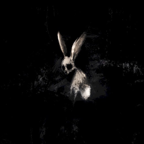 Follow the White Rabbit