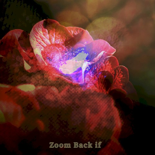 Zoom Back if