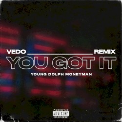 You Got It (remix)