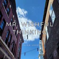Mr. Wishful Thinking