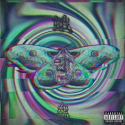 蛾