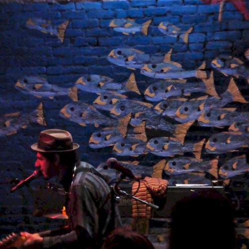2009-02-28: Swimming With the Fishes: Flamingo Cantina, Austin, TX, USA