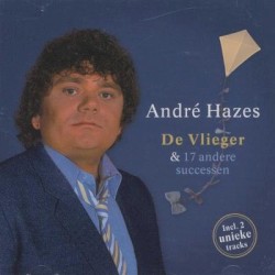 De vlieger en 17 andere successen