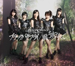ブラックバタフライ / 風に吹かれて