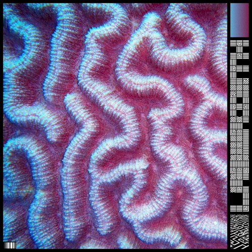 Labyrinth