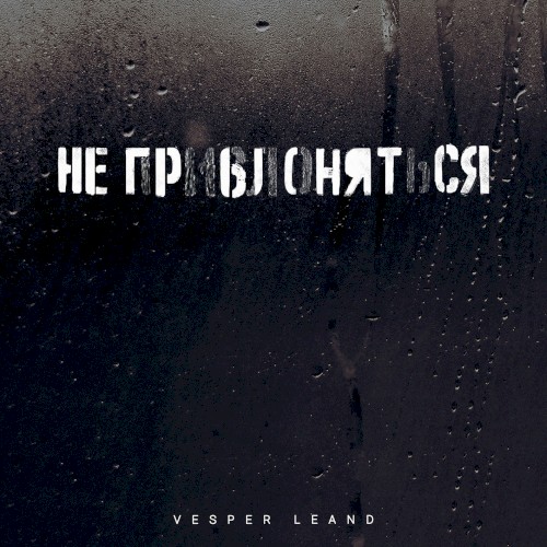Негры Снятся