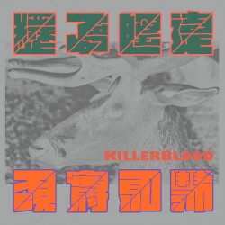 經歷了夢的遙遠是否現實將更加豐沛 Will the Reality Become More Fertile Through Distant Dreams?