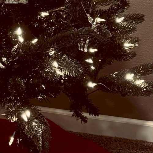 Leave the Christmas Light Up