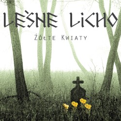 Żółte Kwiaty