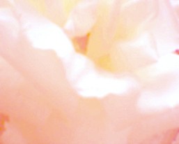 [untitled]