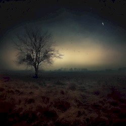 Nocturnal