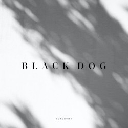 Black Dog