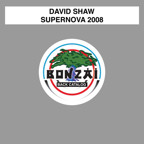 Supernova 2008