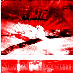 Merak Holograms