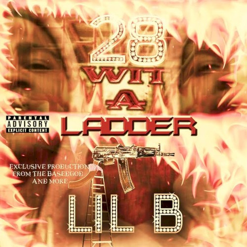 28 Wit a Ladder