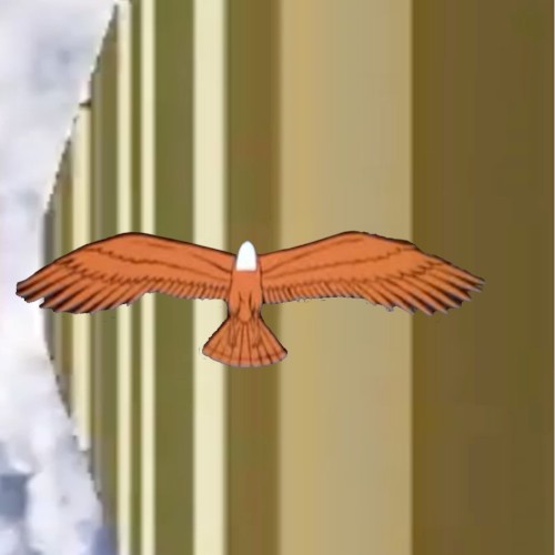 new found spirit