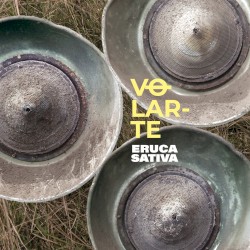 Volarte