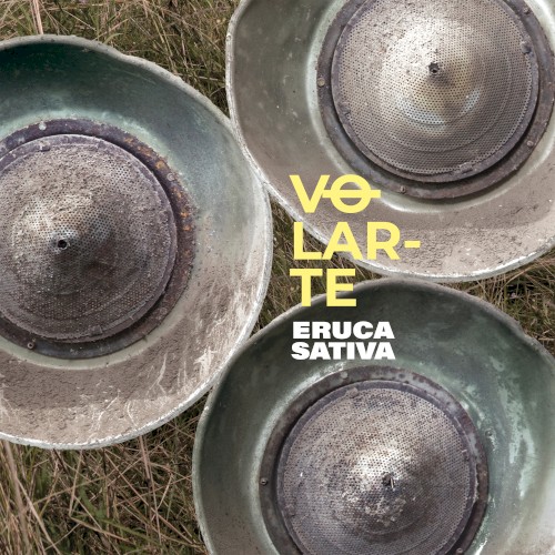Volarte