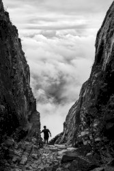 I Want to Be More of a Mystery, More of a Cosmopolitan Passenger, Whom Nobody Really Knows by Heart… Wait… No… Perhaps More of a Colossal Failure, More of a Meaner or a Falling Comet Than a Passenger