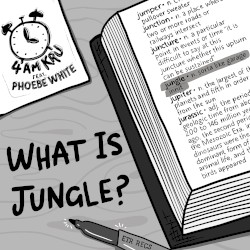 What Is Jungle?