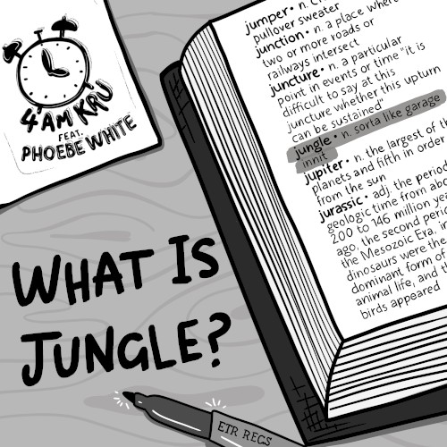 What Is Jungle?