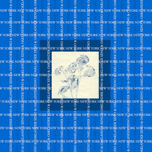 Blue Flower Live in New York