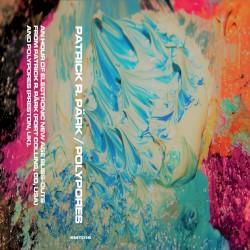 Patrick R. Pärk / Polypores