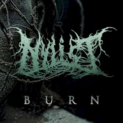 Burn