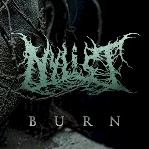 Burn