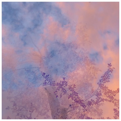 Indigo