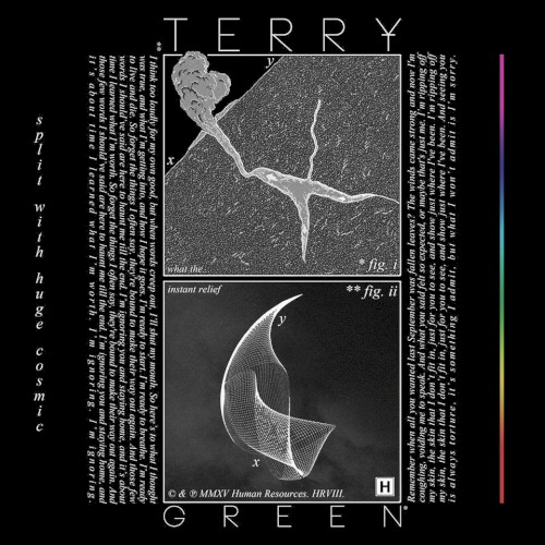 TERRY GREEN / HUGE COSMIC split EP