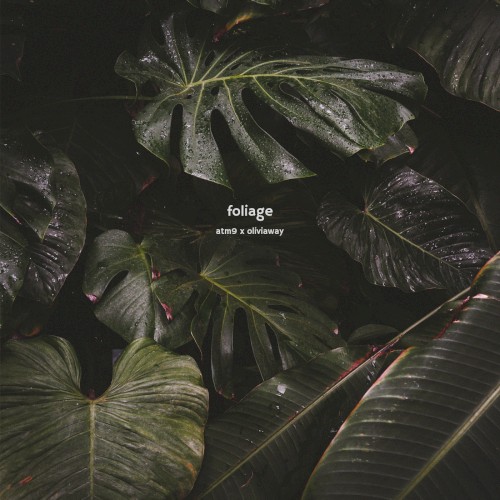Foliage