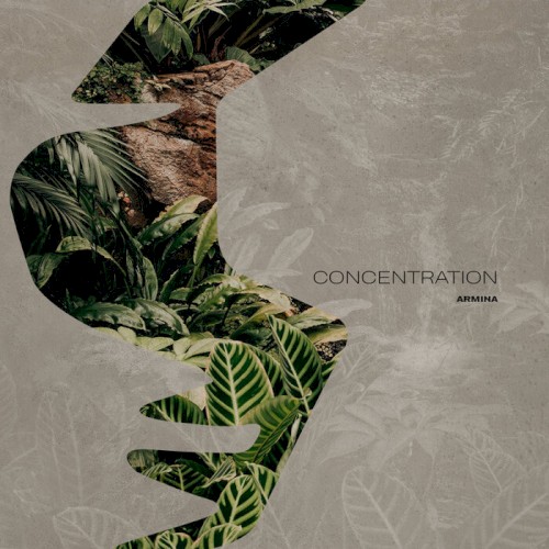 Concentration