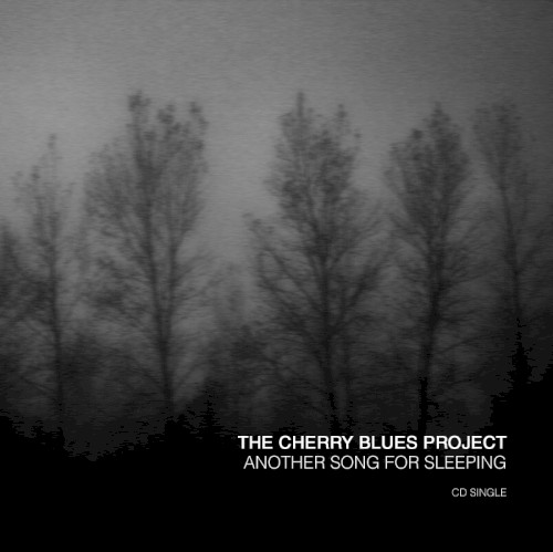 Another Song for Sleeping