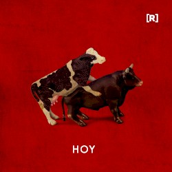 Hoy
