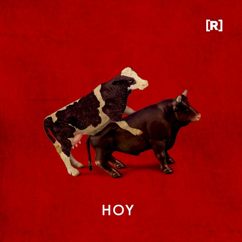 Hoy