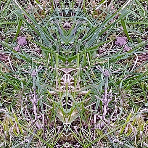 endless static