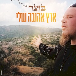 ארץ אהובה שלי