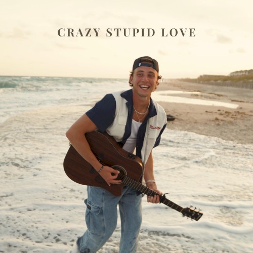 Crazy Stupid Love