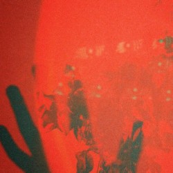 Bleed Out (No Wonder)