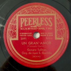 Un gran amor / Esta noche de amor
