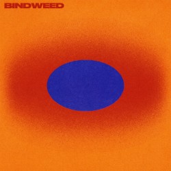 Bindweed