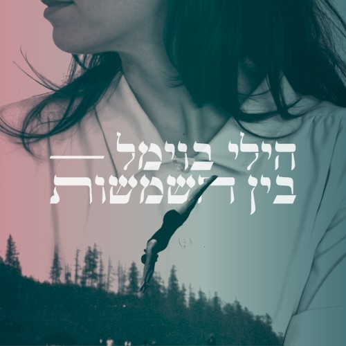 בין השמשות